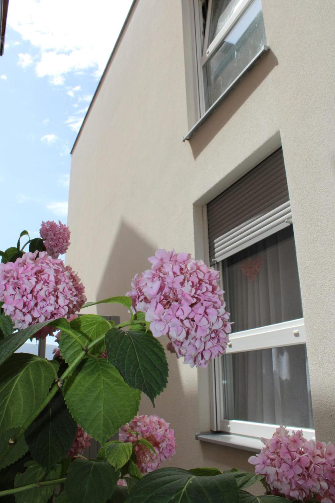 Apartment Merry - Free Garage & Parking Мостар Екстер'єр фото